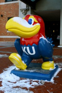 University of Kansas Jayhawk Mascot Image by Home Town Invasion under Creative Commons license 